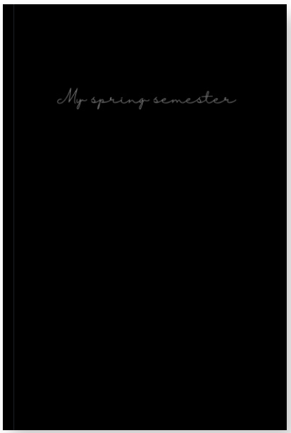 My Spring Semester - Pilot